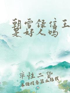 朝雪录信王世子是好人吗