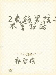 2岁的男孩子还不会说话