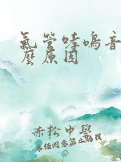 气管哮鸣音是什么原因