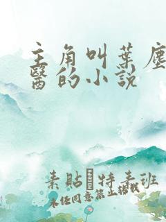 主角叫叶尘是神医的小说