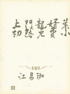 上门龙婿叶辰萧初然免费小说阅读