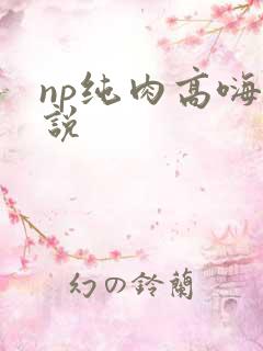 np纯肉高嗨小说