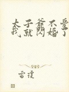 太子爷不爱我那我就闪婚了小说