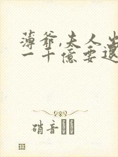 薄爷,夫人出价一千亿要退婚》