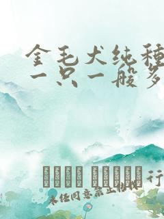 金毛犬纯种幼犬一只一般多少钱