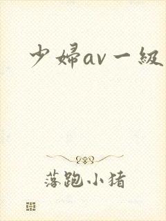 少妇av一级片