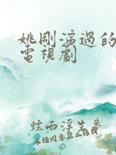 姚刚演过的全部电视剧
