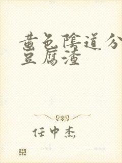 黄色阴道分泌物豆腐渣