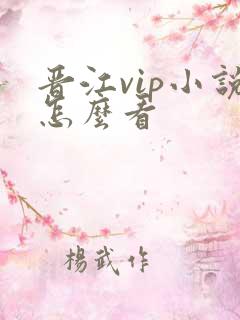 晋江vip小说怎么看
