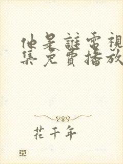 他是谁电视剧全集免费播放在线观看