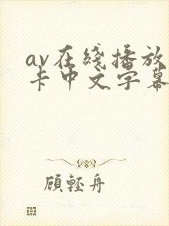 av在线播放不卡中文字幕
