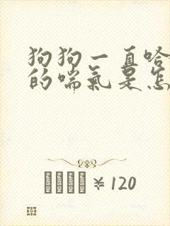 狗狗一直哈哈哈的喘气是怎么回事