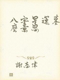 八字星运墓是什么意思