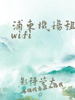 浦东机场租移动wifi 浦东机场租移动wifi