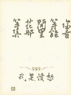 等花开等你归全集哪里能看