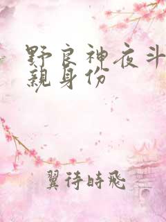 野良神夜斗的父亲身份