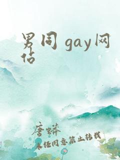 男同 gay网站