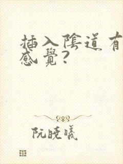 插入阴道有什么感觉?