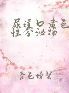 尿道口黄色液体性分泌物