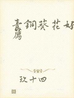 青铜葵花好书推荐