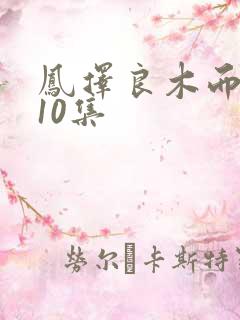 凤择良木而栖第10集