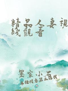 精品人妻视频在线观看