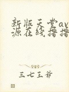 新版天堂av资源在线撸撸