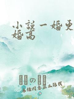 小说一婚更比一婚高 小说一婚更比一婚高