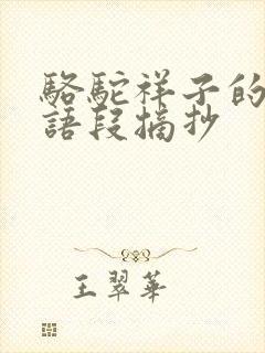 骆驼祥子的精彩语段摘抄