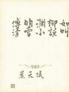 傅明渊柳如嫣林清雪小说叫什么名字 傅明渊柳如嫣林清雪小说叫什么名字