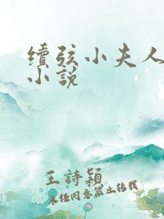 续弦小夫人在线小说