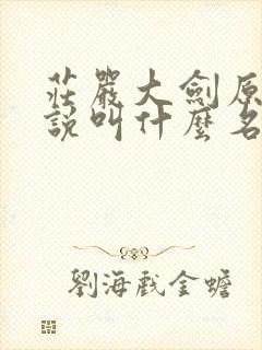 庄严大剑原著小说叫什么名字