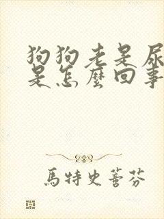 狗狗老是尿小便是怎么回事