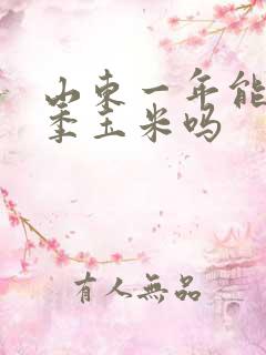 山东一年能种两季玉米吗