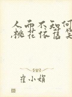 人面不知何处去,桃花依旧笑春风什么意思