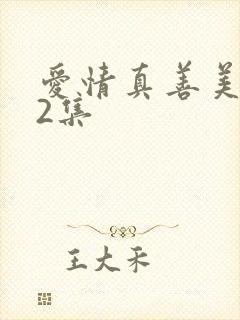 爱情真善美第12集