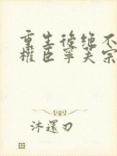 重生后绝不嫁给权臣宁芙宗肆在线全文阅读