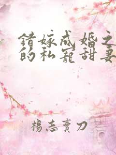 错嫁成婚之总裁的私宠甜妻全文阅读