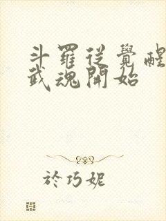 斗罗从觉醒朱雀武魂开始