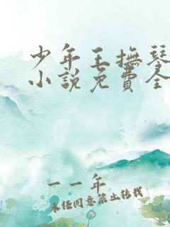 少年王抚琴的人小说免费全集 少年王抚琴的人小说免费全集