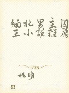 缅北男主囚禁女主小说推荐 缅北男主囚禁女主小说推荐