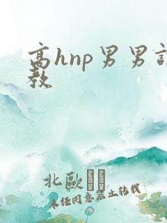 高hnp男男调教