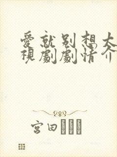 爱就别想太多电视剧剧情介绍