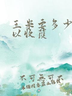 玉米要多少天可以收获