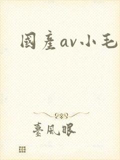 国产av小毛片