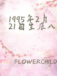 1995年2月21日生辰八字
