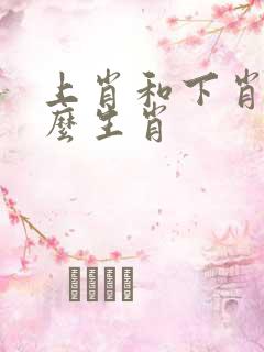 上肖和下肖是什么生肖
