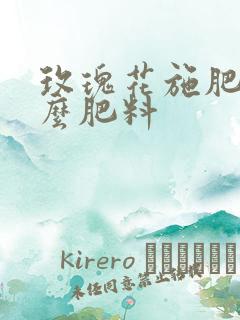 玫瑰花施肥施什么肥料 玫瑰花施肥施什么肥料