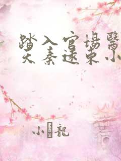 踏入官场医道问天秦远东小说阅读