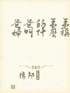 爸爸的弟弟的媳妇叫什么称呼